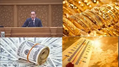 مدبولي: استهداف 5 ملايين طن قمح محلي ومفاجآت في الذهب والدولار.. أبرز أخبار التوك شو