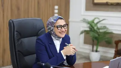 الوادي الجديد تبحث توسعة مشروعات الطاقة الشمسية بـ5 مليارات جنيه