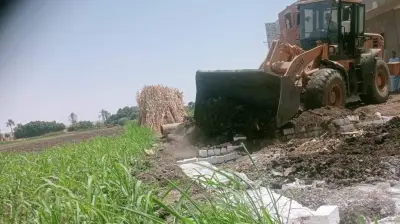 غرامة 5 ملايين جنيه والحبس عقوبات التعدي على الأراضي الزراعية