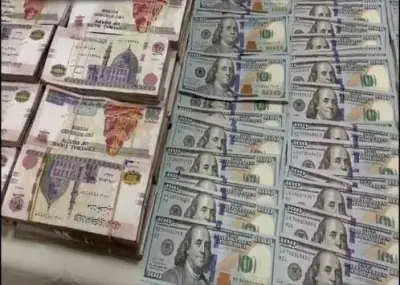 ضربة للأموال غير المشروعة: ضبط عنصر غسل 50 مليون جنيه من تجارة العملة