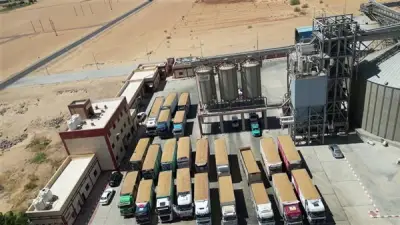 الوادي الجديد تسجل توريد أكثر من 57 ألف طن قمح في موسم 2026 لتعزيز الأمن الغذائي