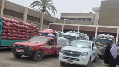 محافظ سوهاج: توريد 5801 طن قمح وتجهيز 15 موقعاً لاستقبال المحصول