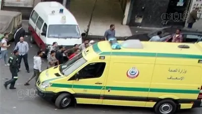 إصابة 6 أشخاص في انقلاب سيارة ملاكي بميت غمر بالدقهلية