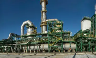 مجلس الوزراء يسلط الضوء على مشروع إندوراما مصر للأسمدة بطاقة 600 ألف طن