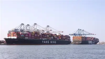 ميناء دمياط يستقبل 7 سفن وسفينة حاويات عملاقة خلال 24 ساعة