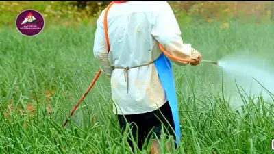 «الزراعة»: 7000 حقل إرشادي لدعم القمح وإجراءات لمواجهة تغير المناخ