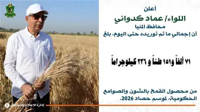 توريد 71 ألف طن قمح إلى صوامع المنيا منذ انطلاق موسم 2026
