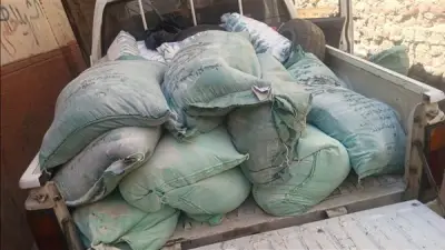 تحرير 768 مخالفة تموينية في حملات مكثفة على الأسواق والمخابز بأسيوط