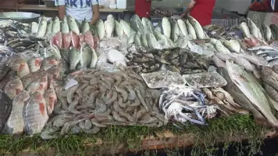 سعر السمك اليوم في سوق العبور: البلطي يرتفع والجمبري يسجل 810 جنيهات