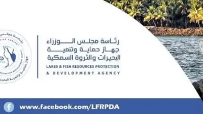 حماية البحيرات تحقق طفرة إنتاجية وتورد 85 طن أسماك للأسواق