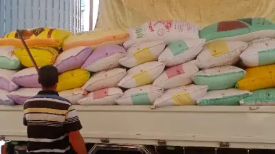 محافظة كفر الشيخ تستقبل 890 طن قمح في بداية الموسم الزراعي 2026