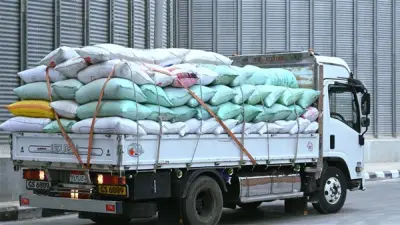 البحيرة تواصل توريد القمح المحلي: 910 طن تم تسليمها وهدف 400 ألف طن للموسم