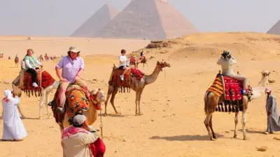 ترخيص 950 مركبة سياحية جديدة في مصر خلال عام 2025