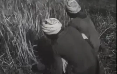 فيديو نادر يكشف كفاح ومعاناة حصاد القمح منذ 96 عاماً