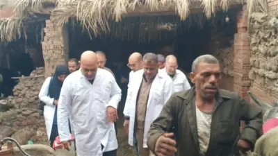 القليوبية تحقق 99% تغطية في تحصين 113 ألف رأس ماشية ضد الجلد العقدي