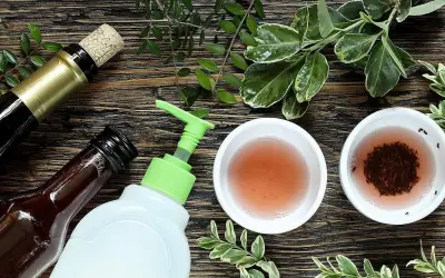 طرق طبيعية فعالة للتخلص من الناموس في المنزل بسهولة وأمان