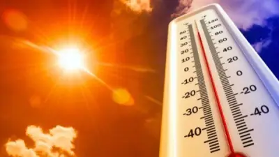 الأرصاد الجوية تعلن استقرار الأجواء الربيعية مع تحذيرات من تقلبات درجات الحرارة