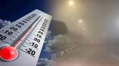 الأرصاد الجوية تعلن عن طقس اليوم: أجواء ربيعية مستقرة مع تحذيرات من الشبورة المائية