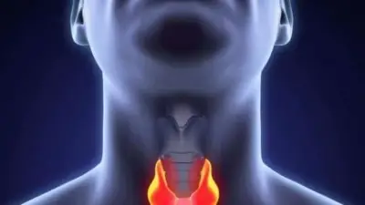 الغدة الزعترية: العضو المنسي في جسم الإنسان وأهميته الحيوية للجهاز المناعي