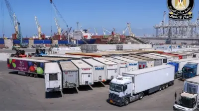 مجلس الوزراء ينفي السماح بدخول شحنات غذائية بمستويات إشعاعية