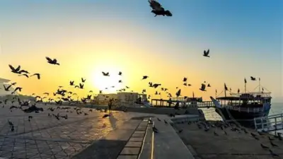 الصحة تكشف عن الأمراض المتوقع ظهورها في الصيف وطرق الوقاية