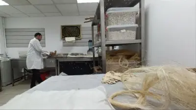 مكتبة الإسكندرية تنتج ورق ترميم مصري عالي الجودة ينافس اليابان عالميًا