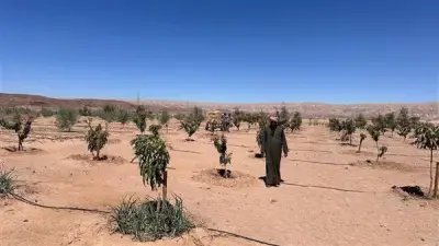 مركز بحوث الصحراء يعزز الدعم الفني للمزارعين المتضررين من السيول في سانت كاترين