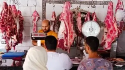 قبل عيد الأضحى.. استراتيجيات الدولة لتأمين احتياجات اللحوم في الأسواق المصرية