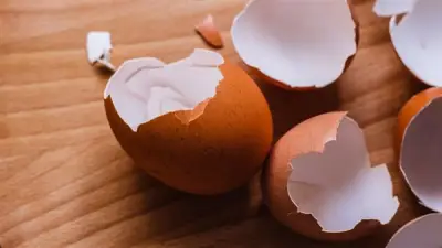قشر البيض: كنز الكالسيوم الطبيعي لتقوية العظام والأسنان والمفاصل