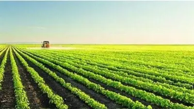 تحذير عاجل للمزارعين من موجة صيفية مؤقتة وفخ التذبذب الحراري