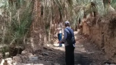 لجنة لمتابعة التخلص من المخلفات الزراعية بباريس في الوادي الجديد