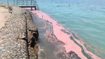 محافظة البحر الأحمر تؤكد أن اللون الأحمر بالشواطئ ظاهرة طبيعية لتكاثر المرجان