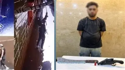 الأمن يكشف ملابسات فيديو البلطجة بالقناطر وضبط المتهم