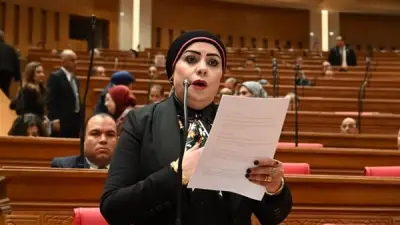 برلمانية: تحرير سيناء نقطة تحول في تاريخ مصر والتنمية تجسيد حقيقي لقوة الدولة