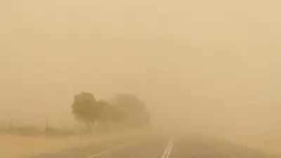 انخفاض الحرارة وعودة الأمطار.. الأرصاد تحذر من نشاط الرياح والأتربة بالقاهرة والمحافظات الأحد