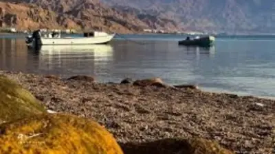 طفرة تنموية كبرى في سيناء بعد القضاء على الإرهاب والاستقرار