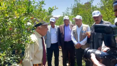 محافظ أسيوط يفتتح ورشة عمل لنظم الري الحديثة وتحسين إنتاج الرمان