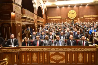 النائب نشأت حتة: بعض مراكز الشباب تفتقر للإمكانيات الأساسية ويجب التخلي عن الأنشطة