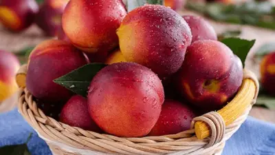 ماذا يحدث لجسمك عند تناول الخوخ بانتظام؟ فوائد وأضرار