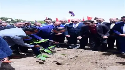 محافظ سوهاج يشارك في زراعة أشجار الزيتون بالجامعة الجديدة