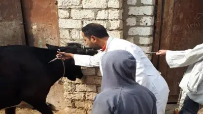 موعد انطلاق الحملة القومية الأولى للتحصين ضد الحمى القلاعية بالمنوفية