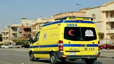 محامٍ ينهي حياة والدته المسنة في الإسماعيلية بدعوى السحر