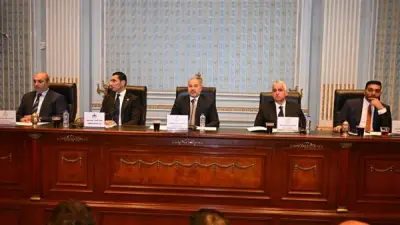 مجلس الشيوخ يناقش مشروع قانون إنشاء صندوق رعاية الأبطال الرياضيين