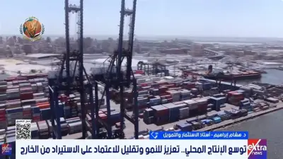 أستاذ استثمار: الصناعة ركيزة أساسية لتحقيق نمو اقتصادي مستدام في مصر