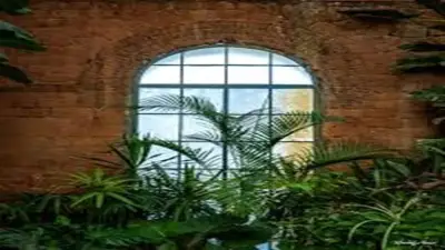 حكاية الصوبة الملكية.. من أجمل المزارات النباتية في الإسكندرية