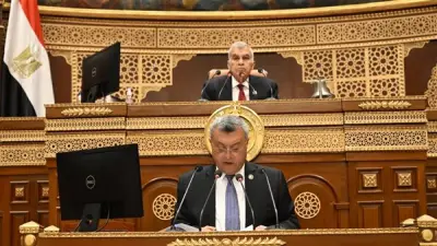 وكيل الشيوخ يطالب بوضع حد أدنى للمعاشات أسوة بالأجور