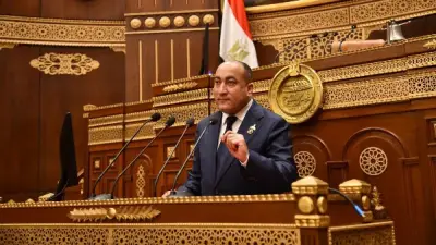 نائب: توازن بين الاستدامة المالية والعدالة الاجتماعية في تعديل التأمينات