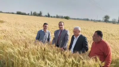 محافظة الشرقية تطلق ندوات توعوية وحملة لمكافحة القوارض لدعم المزارعين