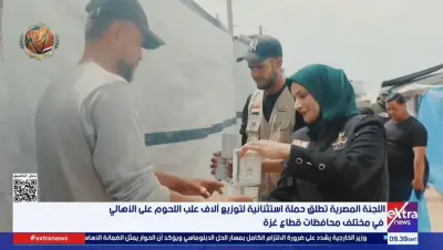 المساعدات المصرية ترسم البسمة على وجوه أطفال غزة رغم الألم