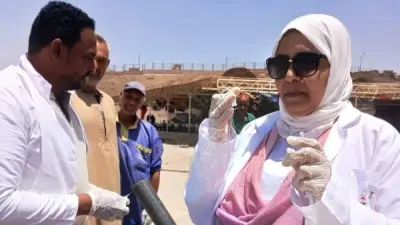 مبادرة بيطرى أسوان لتوعية وتطعيم وتعقيم الكلاب الضالة